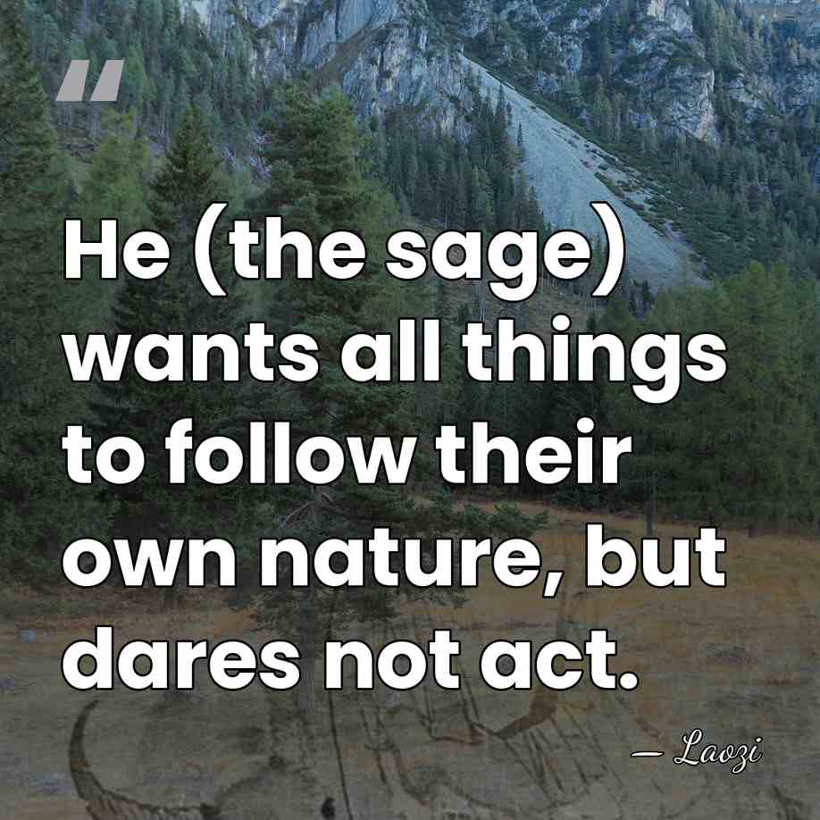 He (the sage) wants all things to follow their own nature, but&hellip; - Laozi
