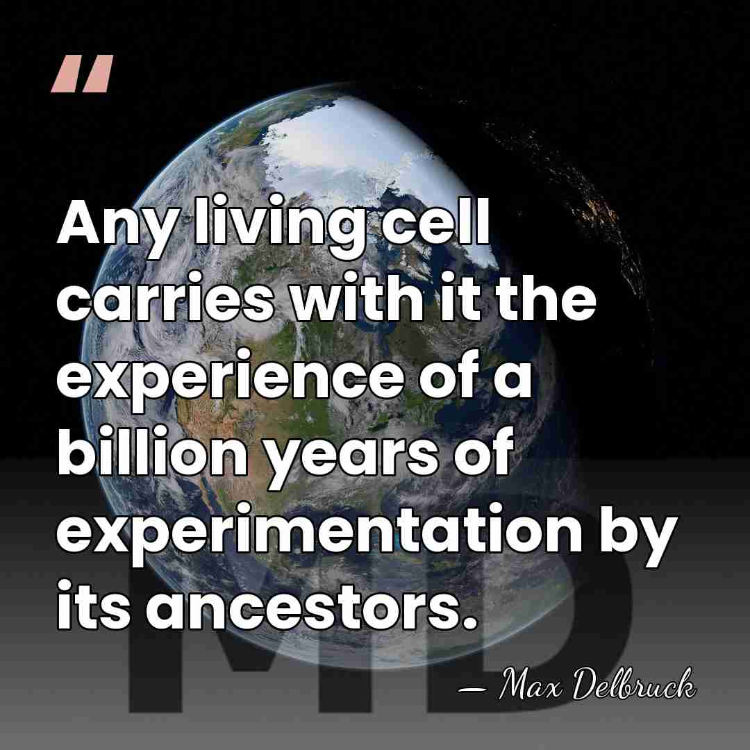 Any living cell carries with it the experience of a billion years&hellip; - Max Delbruck