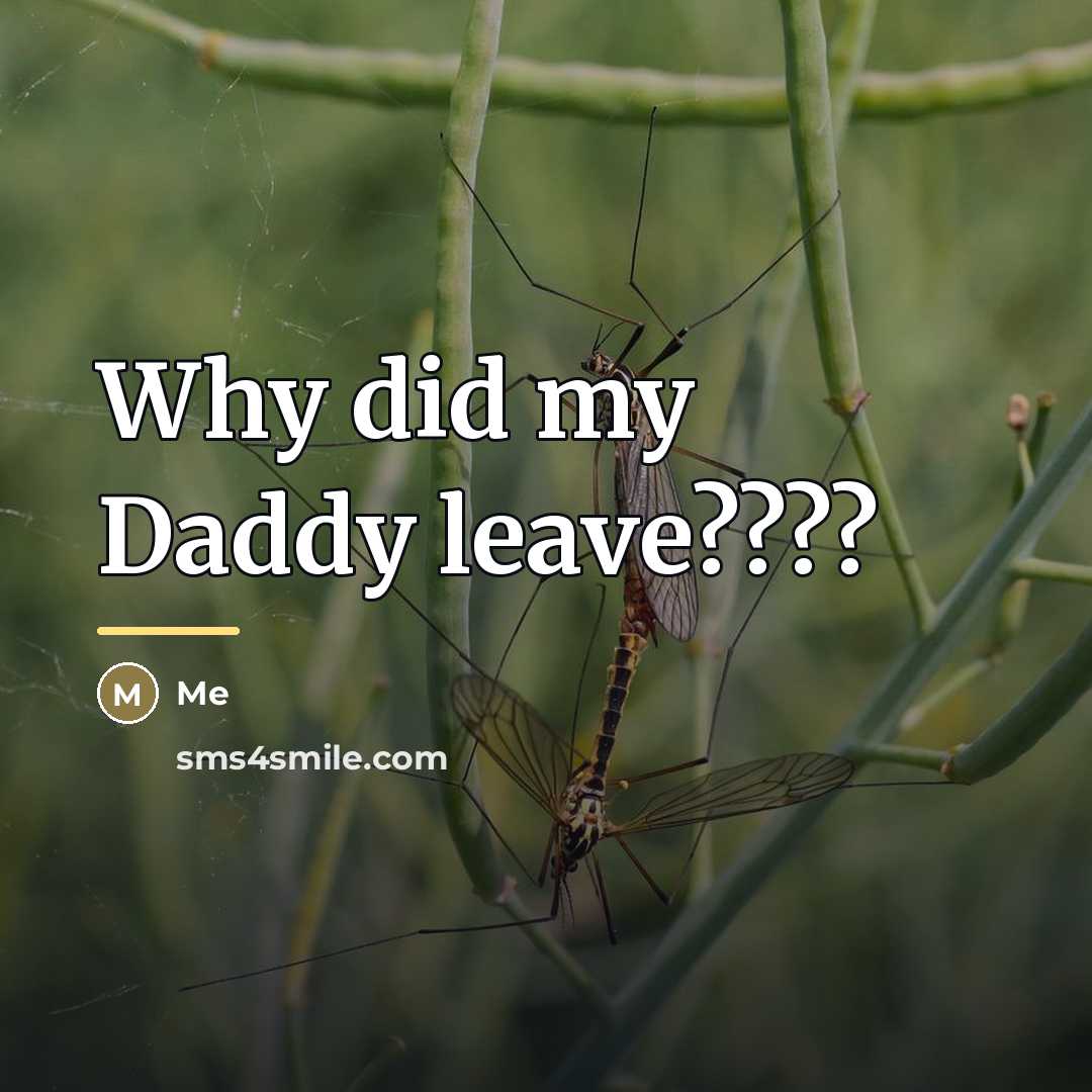 “Why did my Daddy leave????…” quote by Me