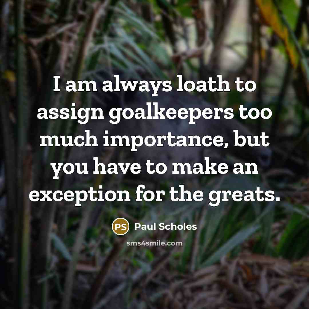 “I am always loath to assign goalkeepers too much importance,…” quote by Paul Scholes