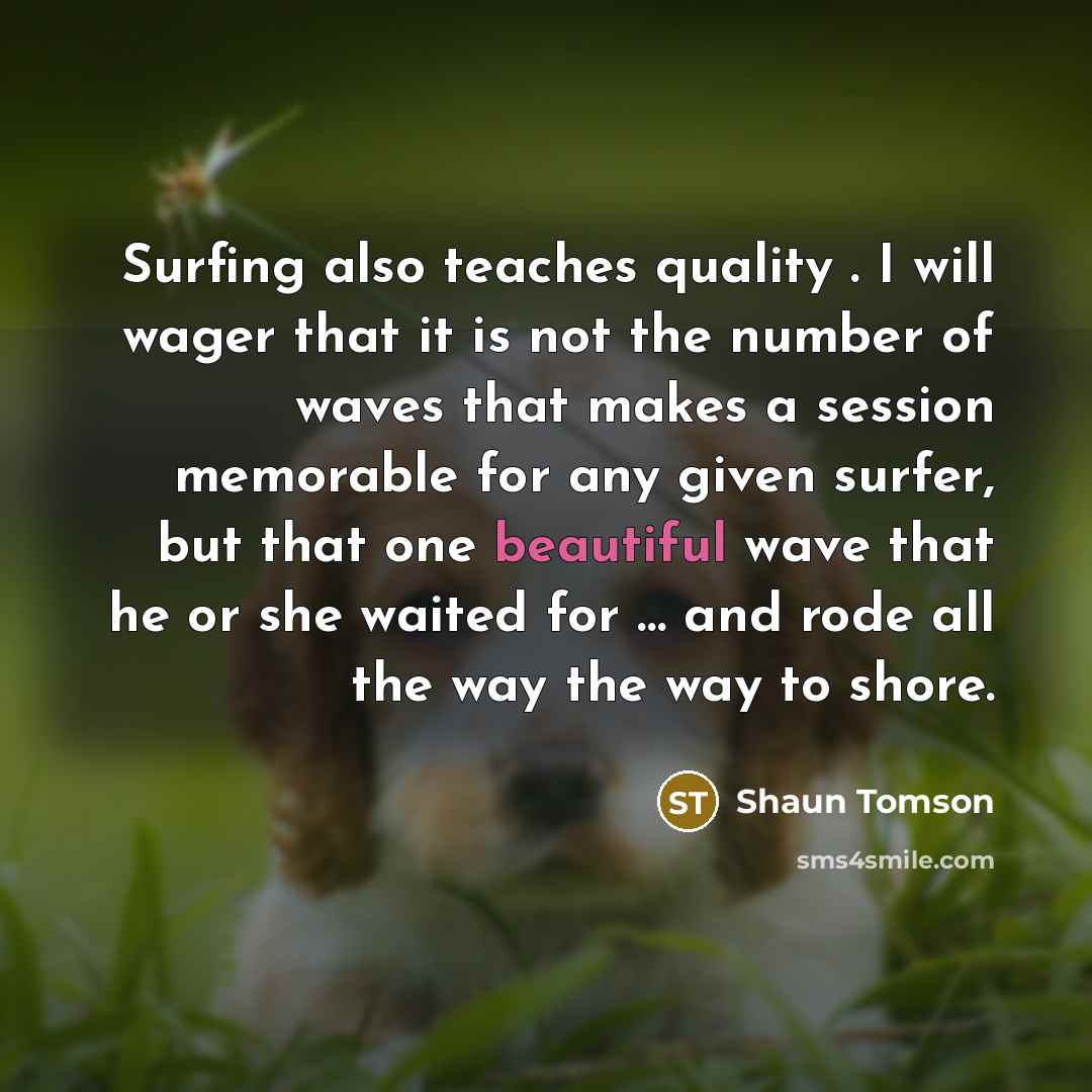 “Surfing also teaches quality . I will wager that it…” quote by Shaun Tomson