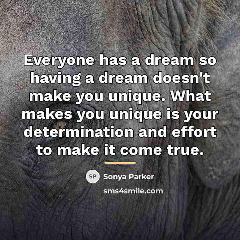 “Everyone has a dream so having a dream doesn't make…” quote by Sonya Parker