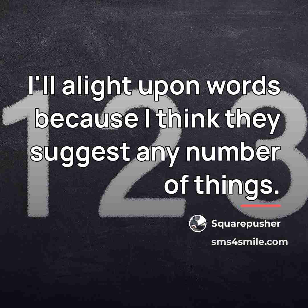 “I'll alight upon words because I think they suggest any…” quote by Squarepusher