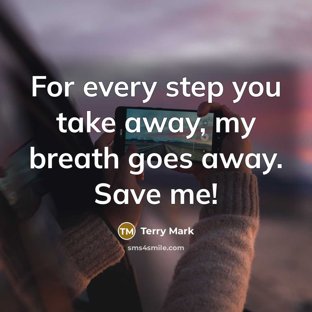 “For every step you take away, my breath goes away.…” quote by Terry Mark
