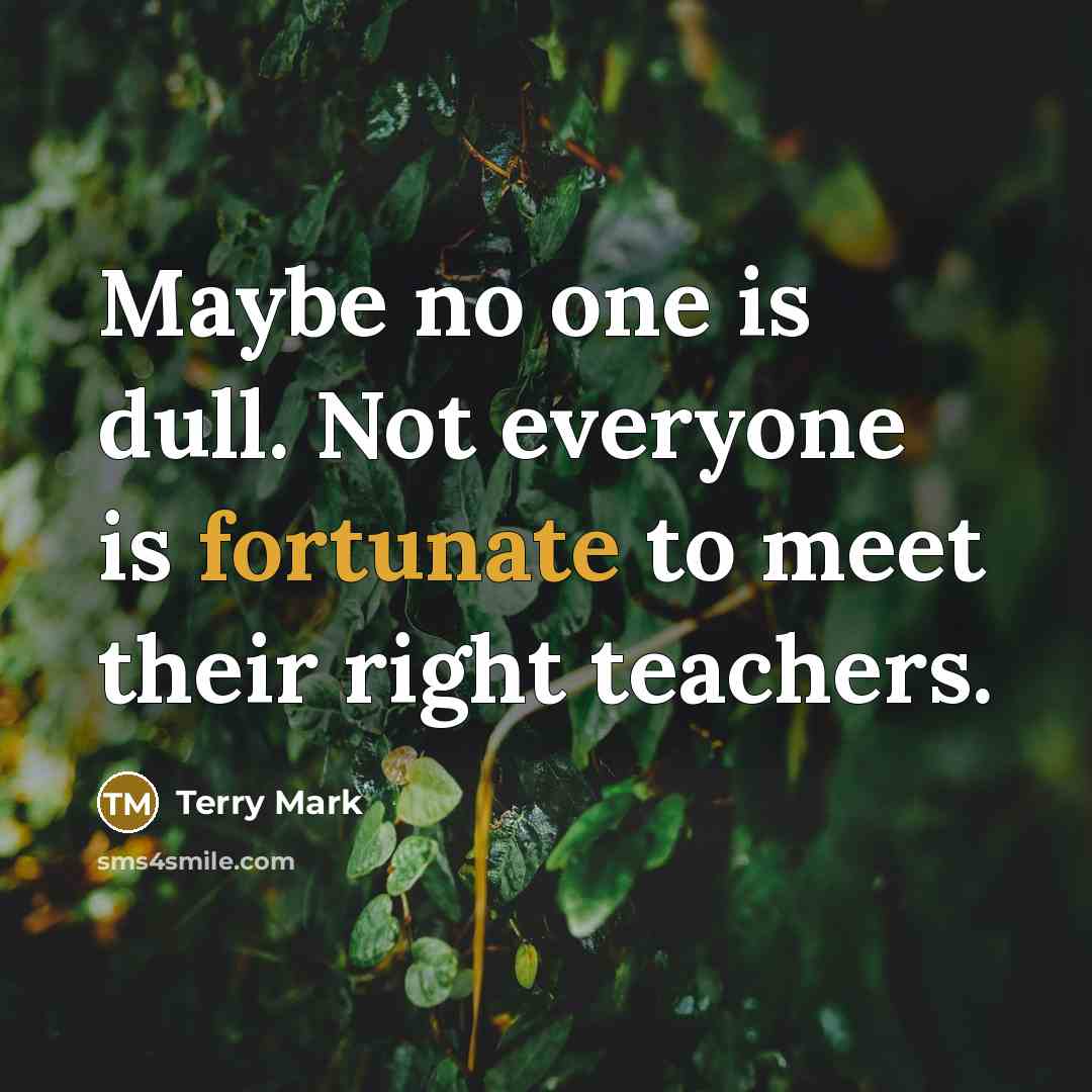 “Maybe no one is dull. Not everyone is fortunate to…” quote by Terry Mark