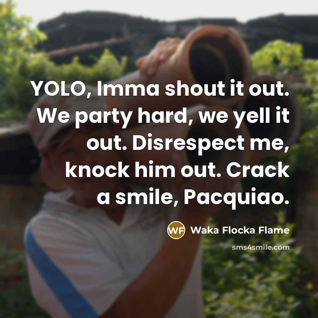 “YOLO, Imma shout it out. We party hard, we yell…” quote by Waka Flocka Flame