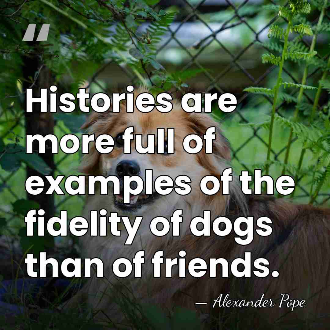 Histories are more full of examples of the fidelity of dogs than&hellip; - Alexander Pope