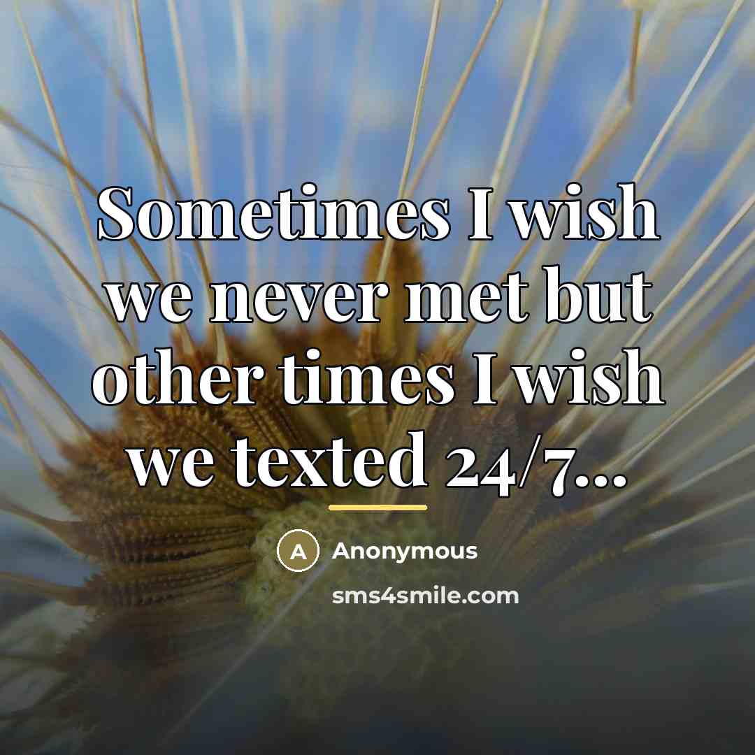 “Sometimes I wish we never met but other times I…” quote by Anonymous
