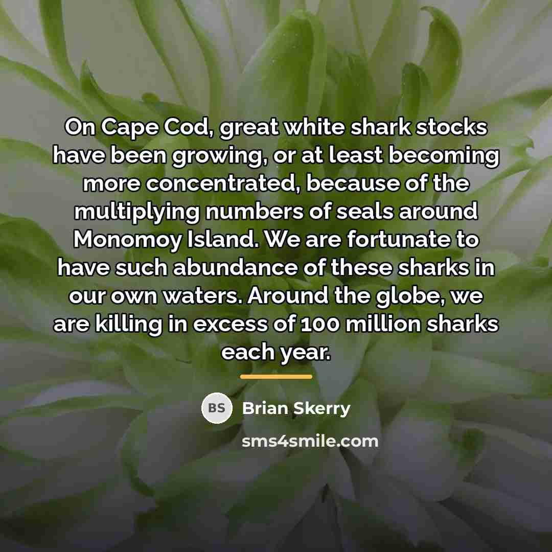 “On Cape Cod, great white shark stocks have been growing,…” quote by Brian Skerry