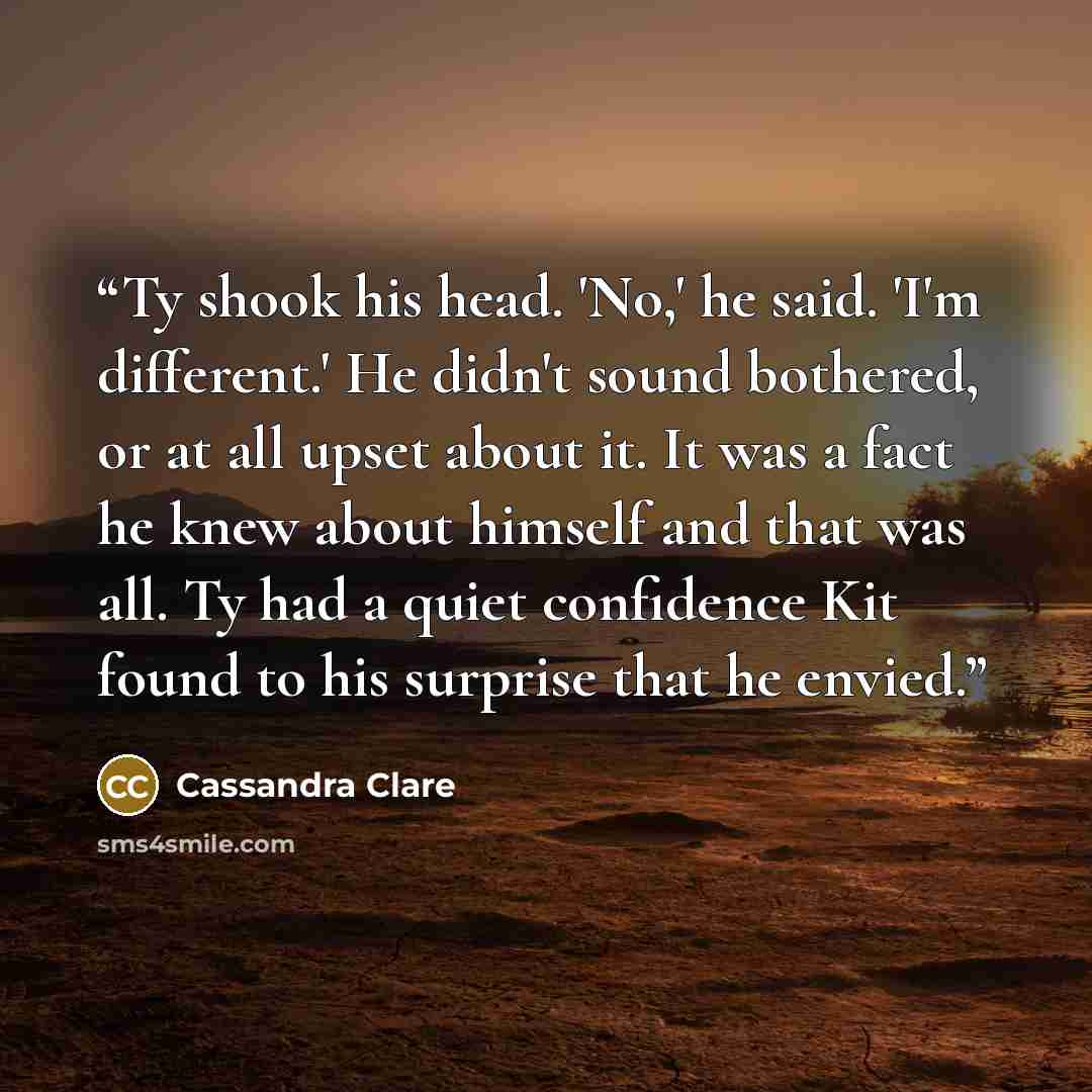 “Ty shook his head. 'No,' he said. 'I'm different.' He didn't sound bothered, or at all upset about it. It was a fact he knew about himself and that was all. Ty had a quiet confidence Kit found to his surprise that he envied.” quote by Cassandra Clare