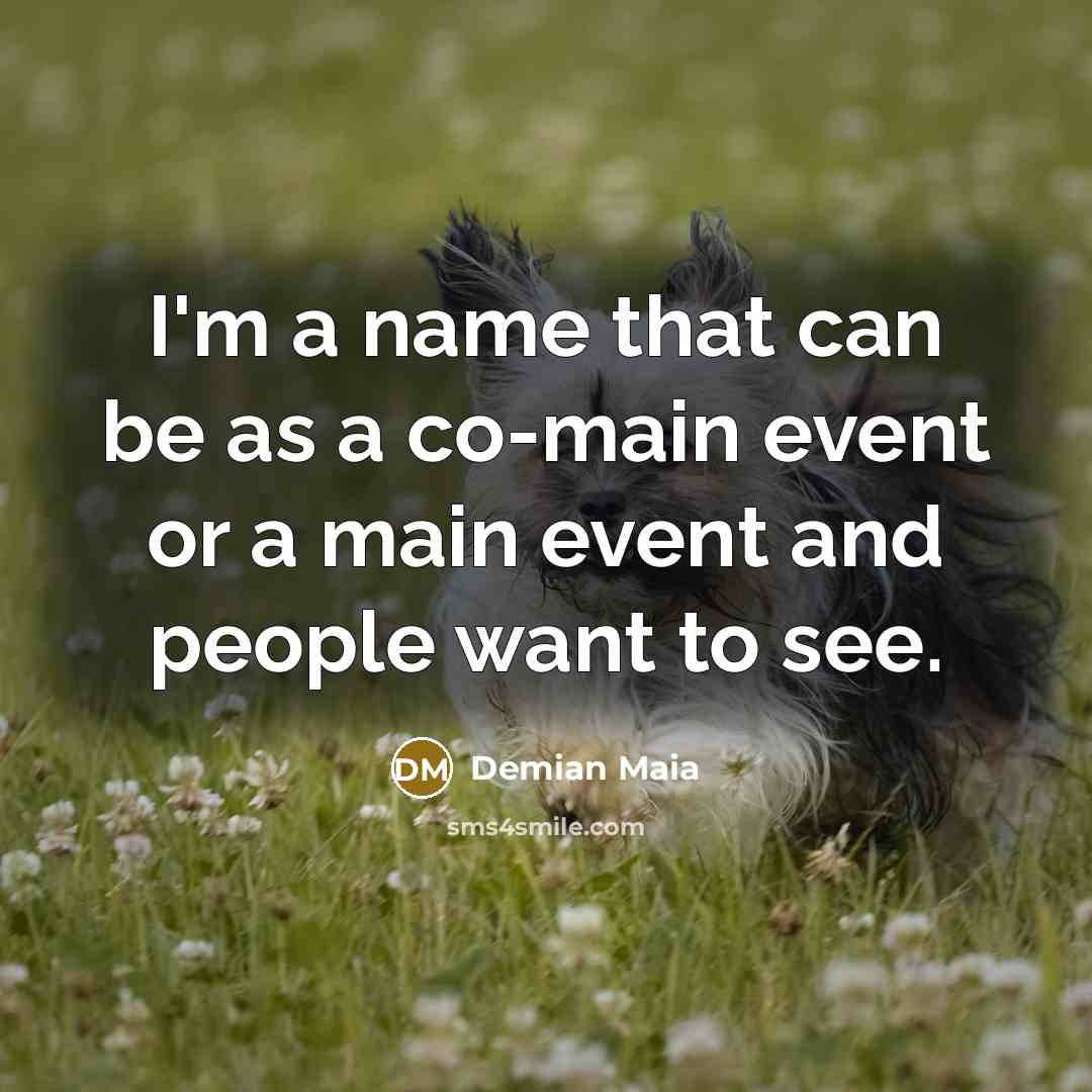 “I'm a name that can be as a co-main event…” quote by Demian Maia
