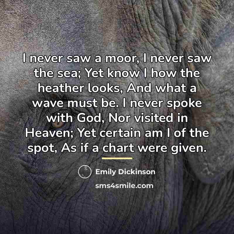 “I never saw a moor, I never saw the sea;…” quote by Emily Dickinson