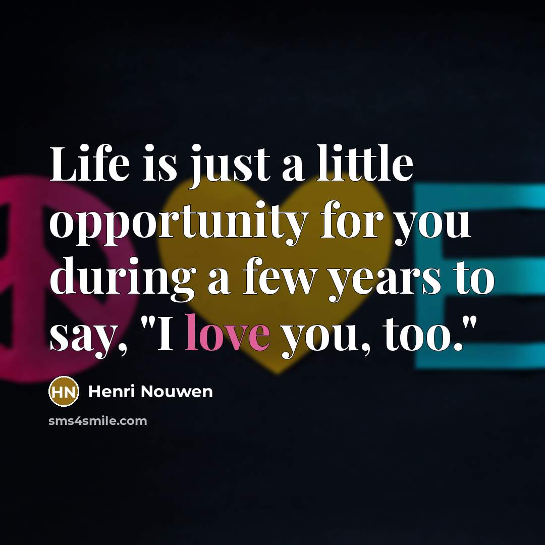 “Life is just a little opportunity for you during a…” quote by Henri Nouwen