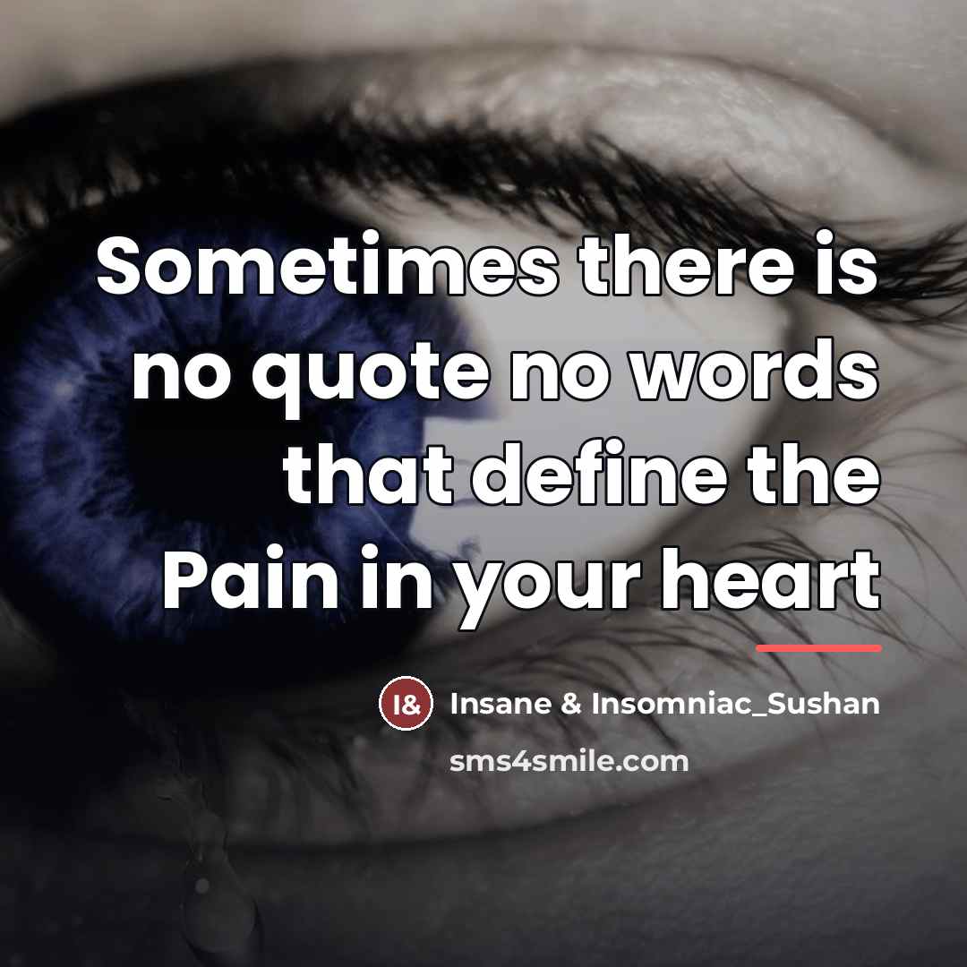“Sometimes there is no quote no words that define the…” quote by Insane & Insomniac_Sushan