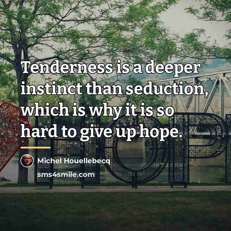 “Tenderness is a deeper instinct than seduction, which is why…” quote by Michel Houellebecq