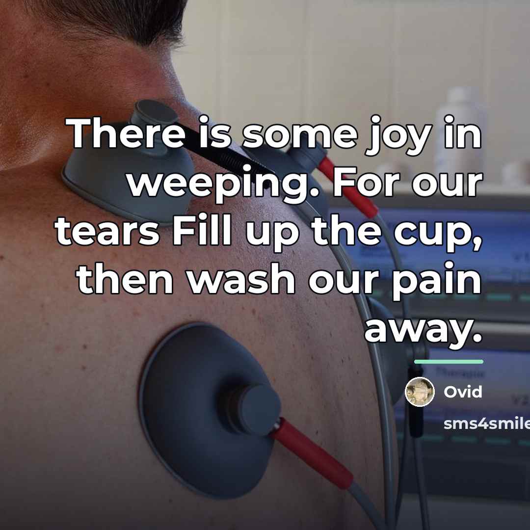 “There is some joy in weeping. For our tears Fill…” quote by Ovid