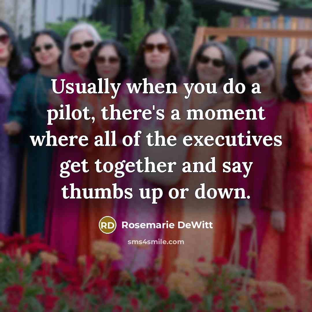 “Usually when you do a pilot, there's a moment where…” quote by Rosemarie DeWitt