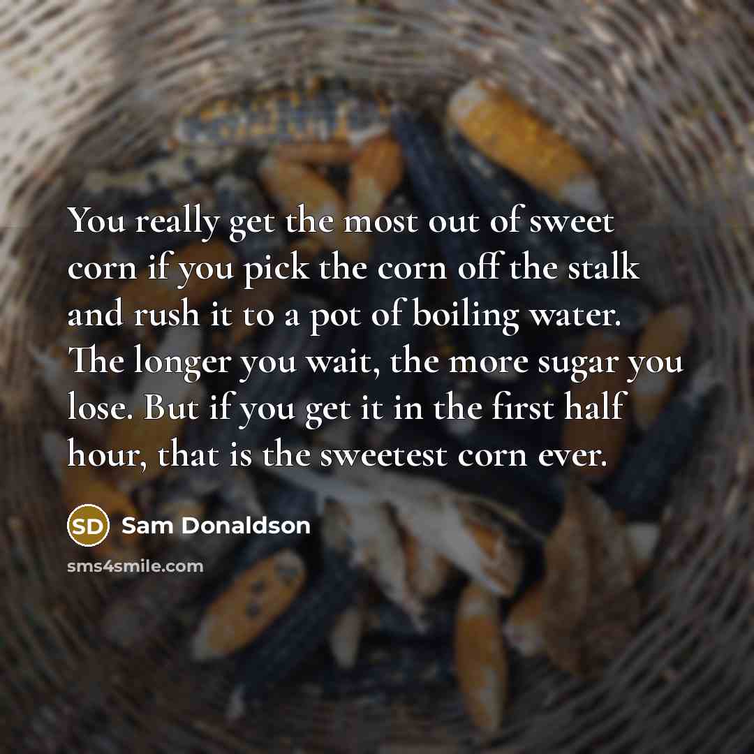 “You really get the most out of sweet corn if…” quote by Sam Donaldson