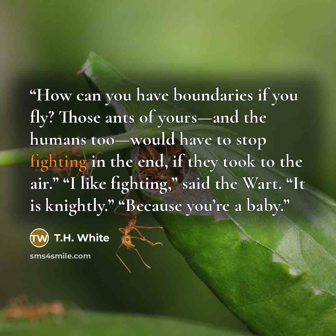 “How can you have boundaries if you fly? Those ants of yours—and the humans too—would have to stop fighting in the end, if they took to the air.” “I like fighting,” said the Wart. “It is knightly.” “Because you’re a baby.” quote by T.H. White
