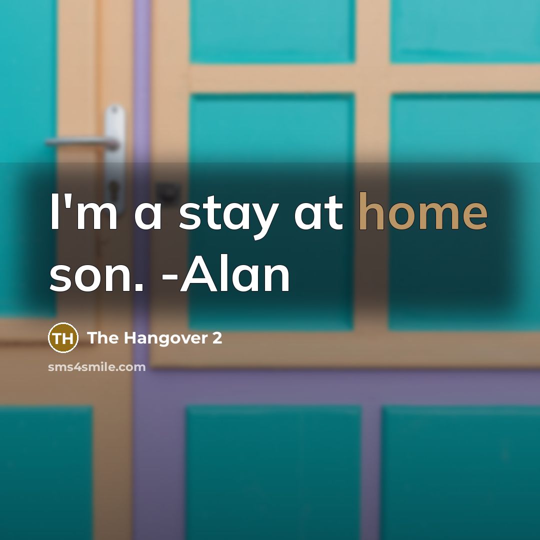 “I'm a stay at home son. -Alan…” quote by The Hangover 2