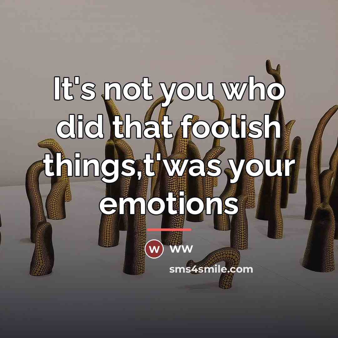 “It's not you who did that foolish things,t'was your emotions…” quote by Ww