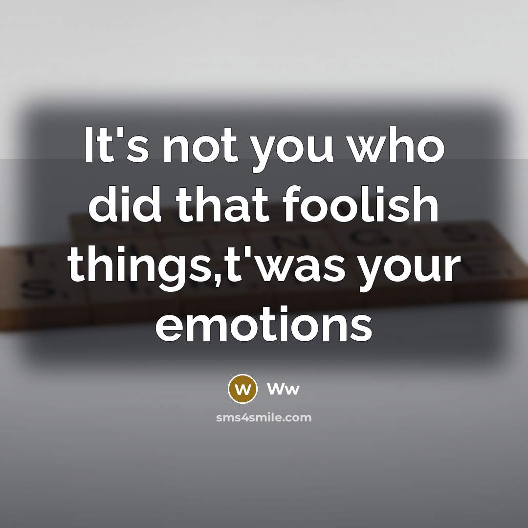“It's not you who did that foolish things,t'was your emotions” quote by Ww