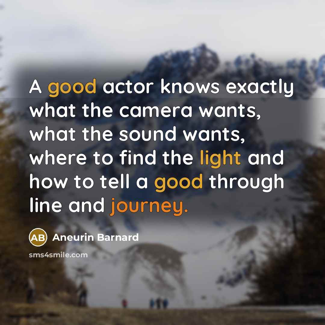 “A good actor knows exactly what the camera wants, what the sound wants, where to find the light and how to tell a good through line and journey.” quote by Aneurin Barnard