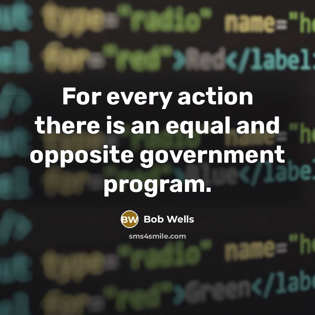 “For every action there is an equal and opposite government…” quote by Bob Wells