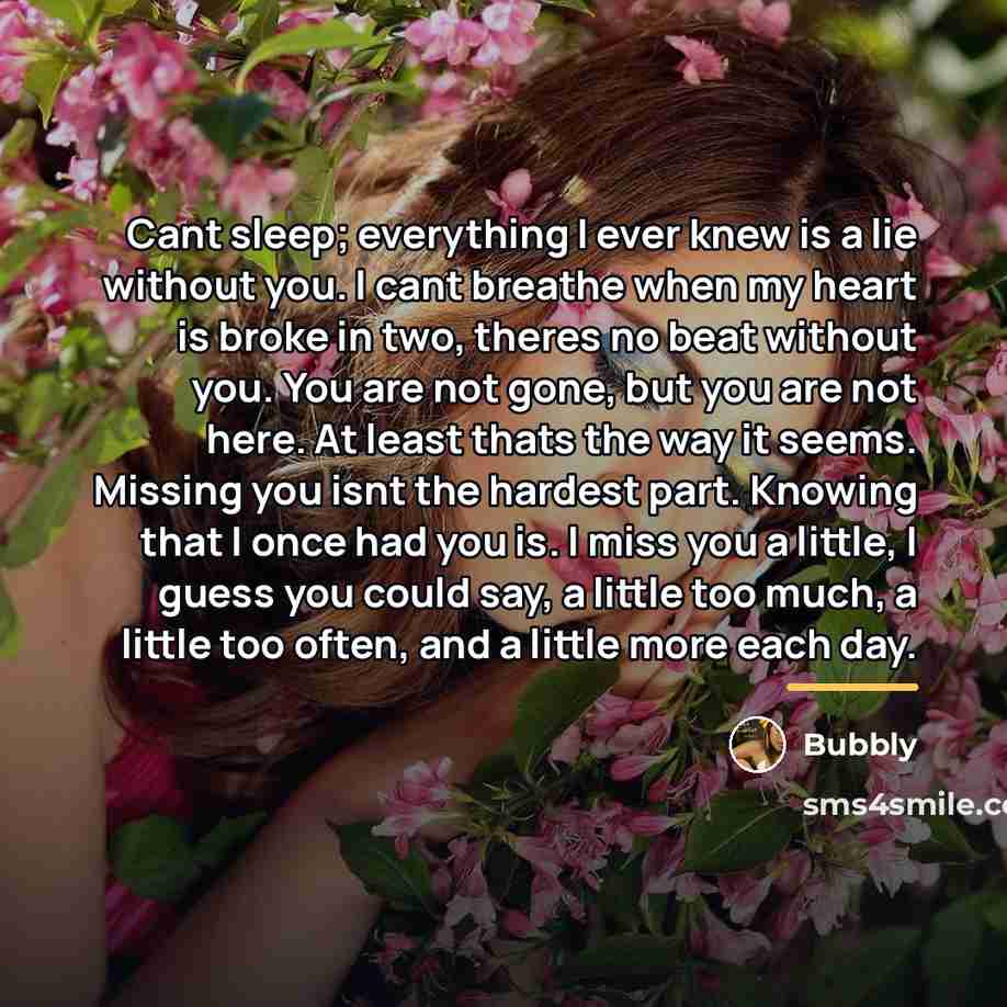 “Cant sleep; everything I ever knew is a lie without…” quote by Bubbly
