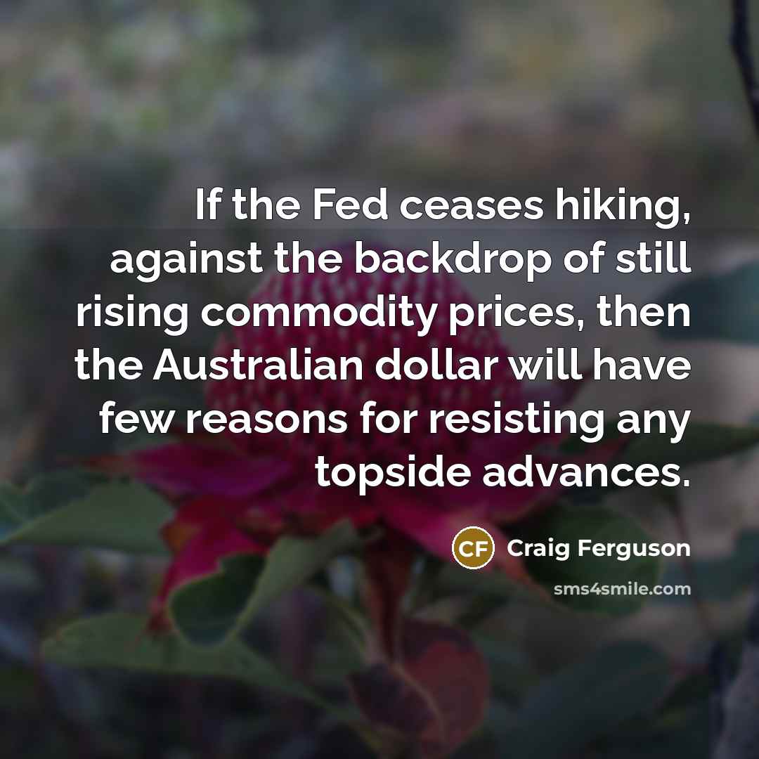“If the Fed ceases hiking, against the backdrop of still…” quote by Craig Ferguson