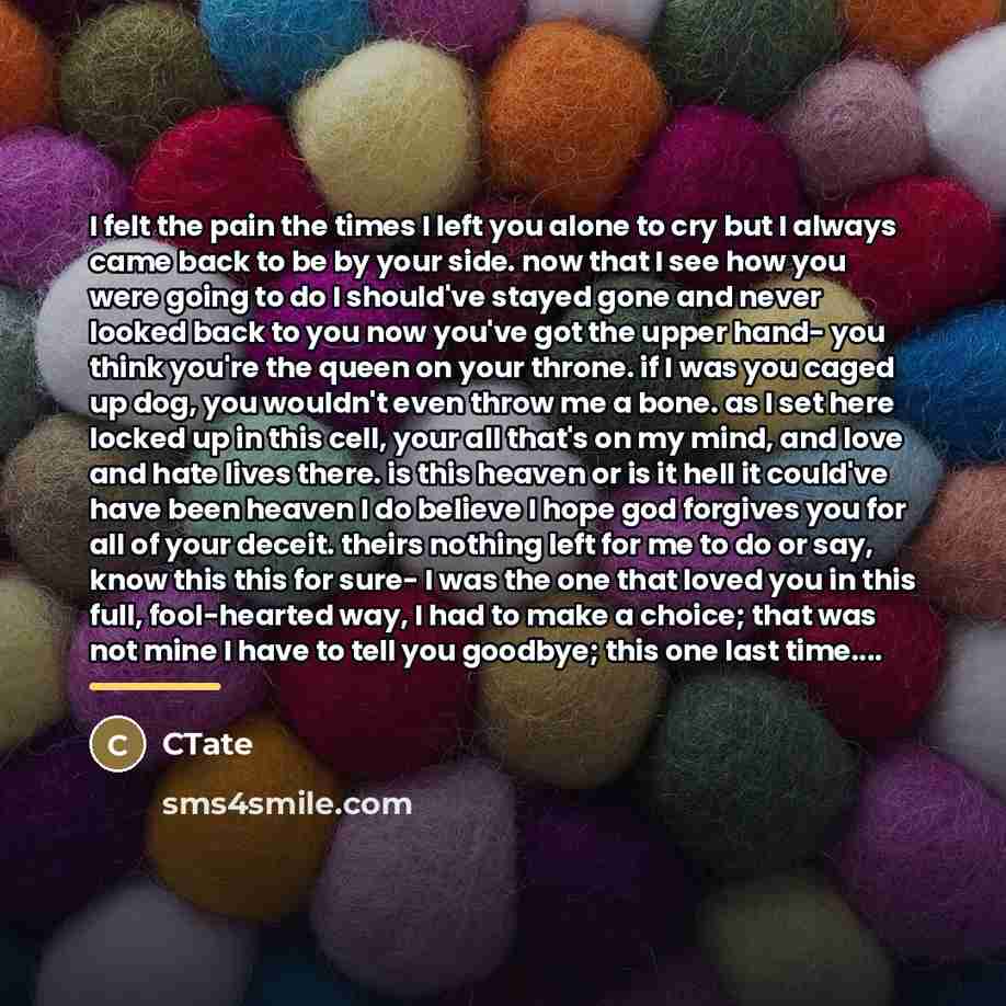 “I felt the pain the times I left you alone…” quote by CTate