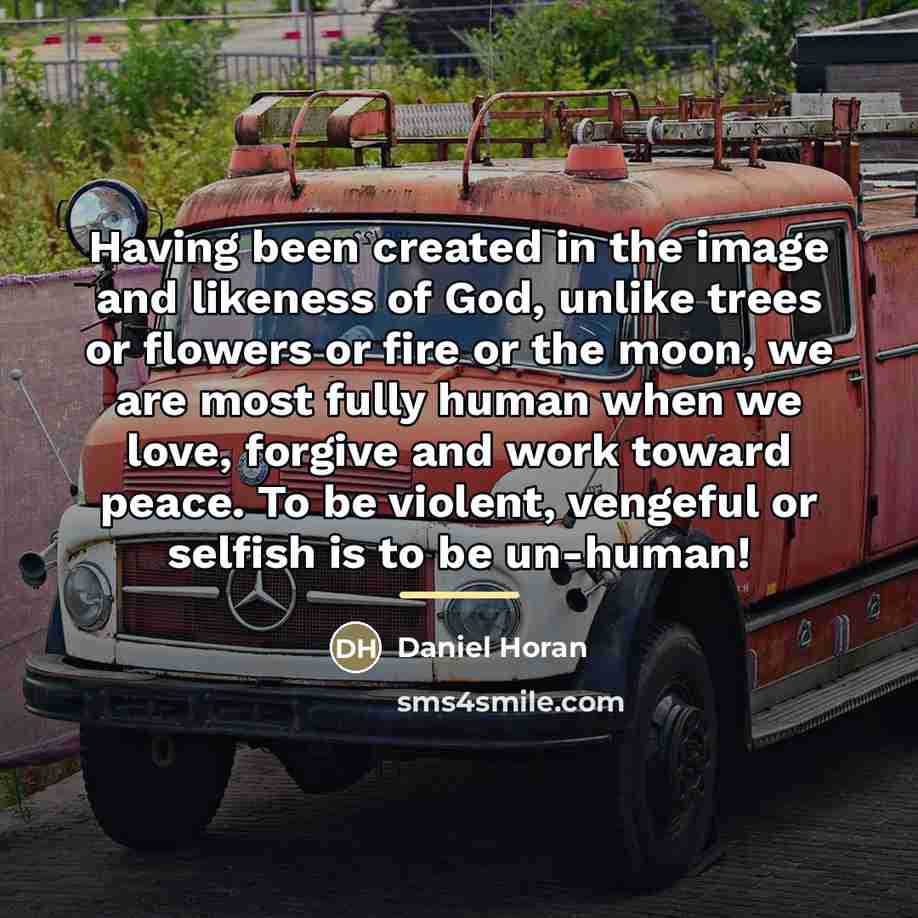 “Having been created in the image and likeness of God,…” quote by Daniel Horan