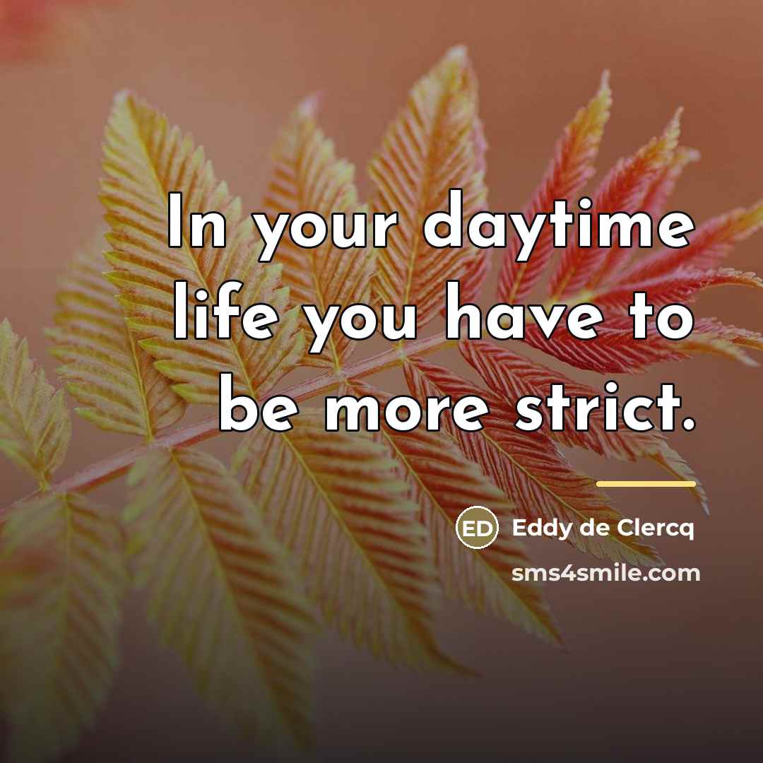“In your daytime life you have to be more strict.…” quote by Eddy de Clercq