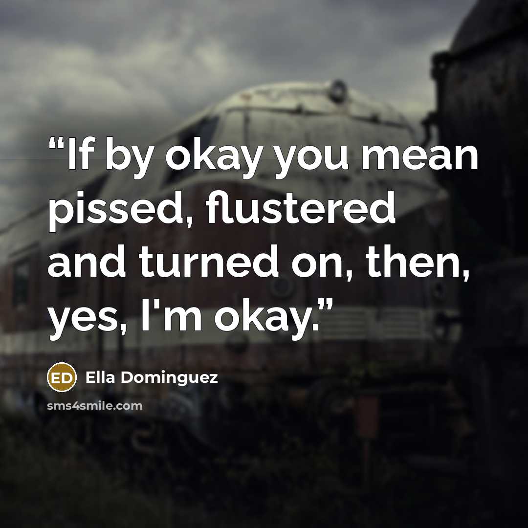 “If by okay you mean pissed, flustered and turned on, then, yes, I'm okay.” quote by Ella Dominguez