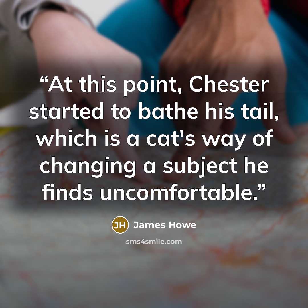 “At this point, Chester started to bathe his tail, which is a cat's way of changing a subject he finds uncomfortable.” quote by James Howe