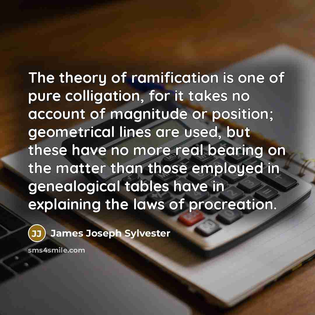 “The theory of ramification is one of pure colligation, for…” quote by James Joseph Sylvester