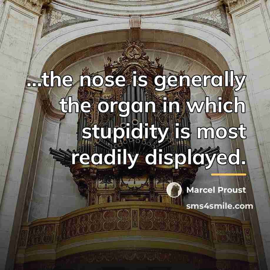 “...the nose is generally the organ in which stupidity is…” quote by Marcel Proust