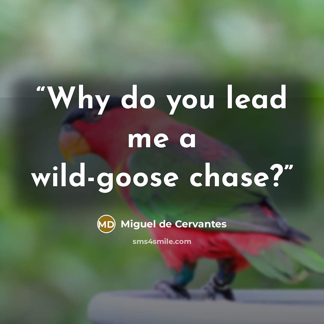 “Why do you lead me a wild-goose chase?” quote by Miguel de Cervantes