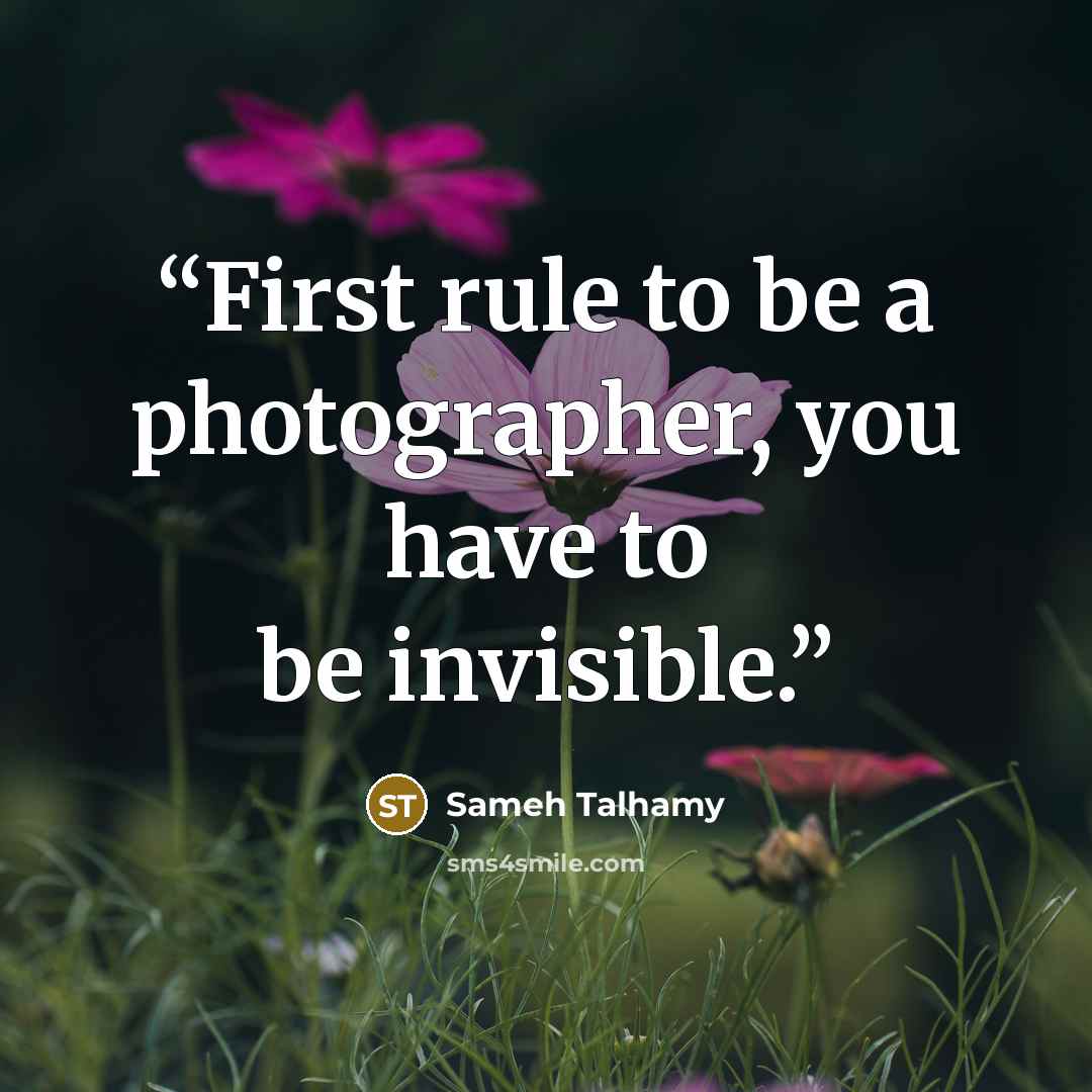 “First rule to be a photographer, you have to be invisible.” quote by Sameh Talhamy