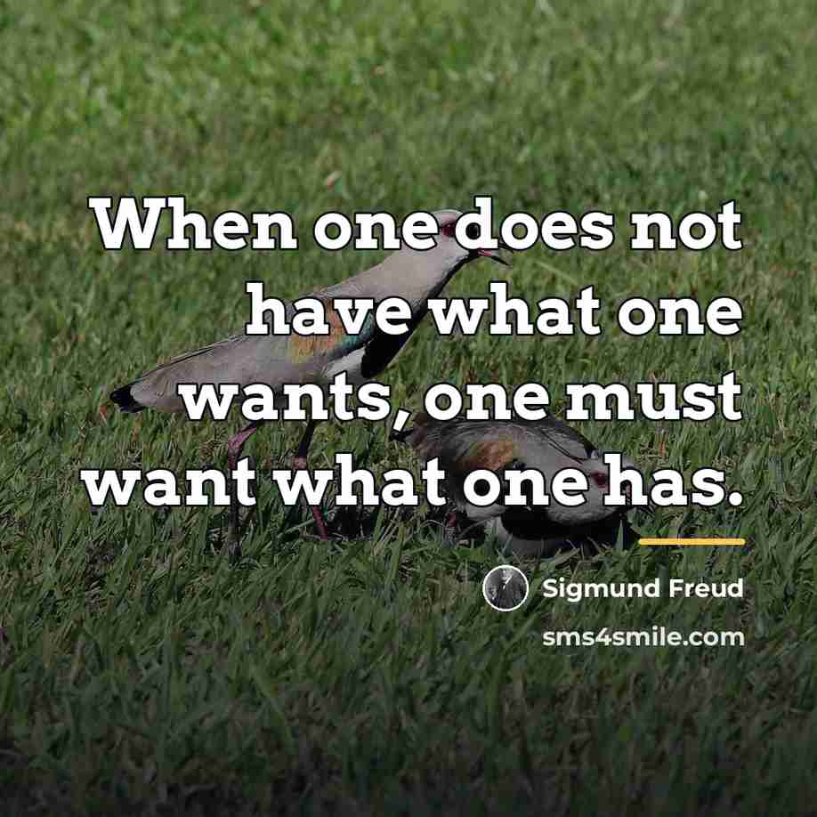 “When one does not have what one wants, one must…” quote by Sigmund Freud
