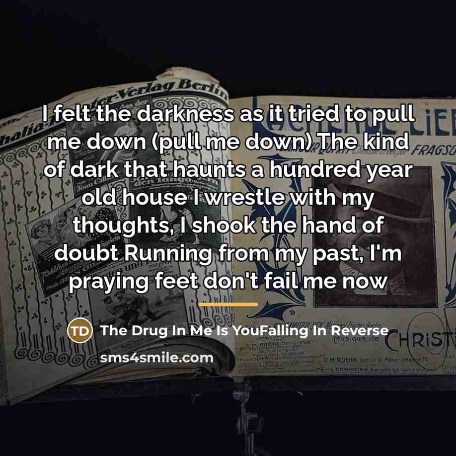 “I felt the darkness as it tried to pull me…” quote by The Drug In Me Is YouFalling In Reverse