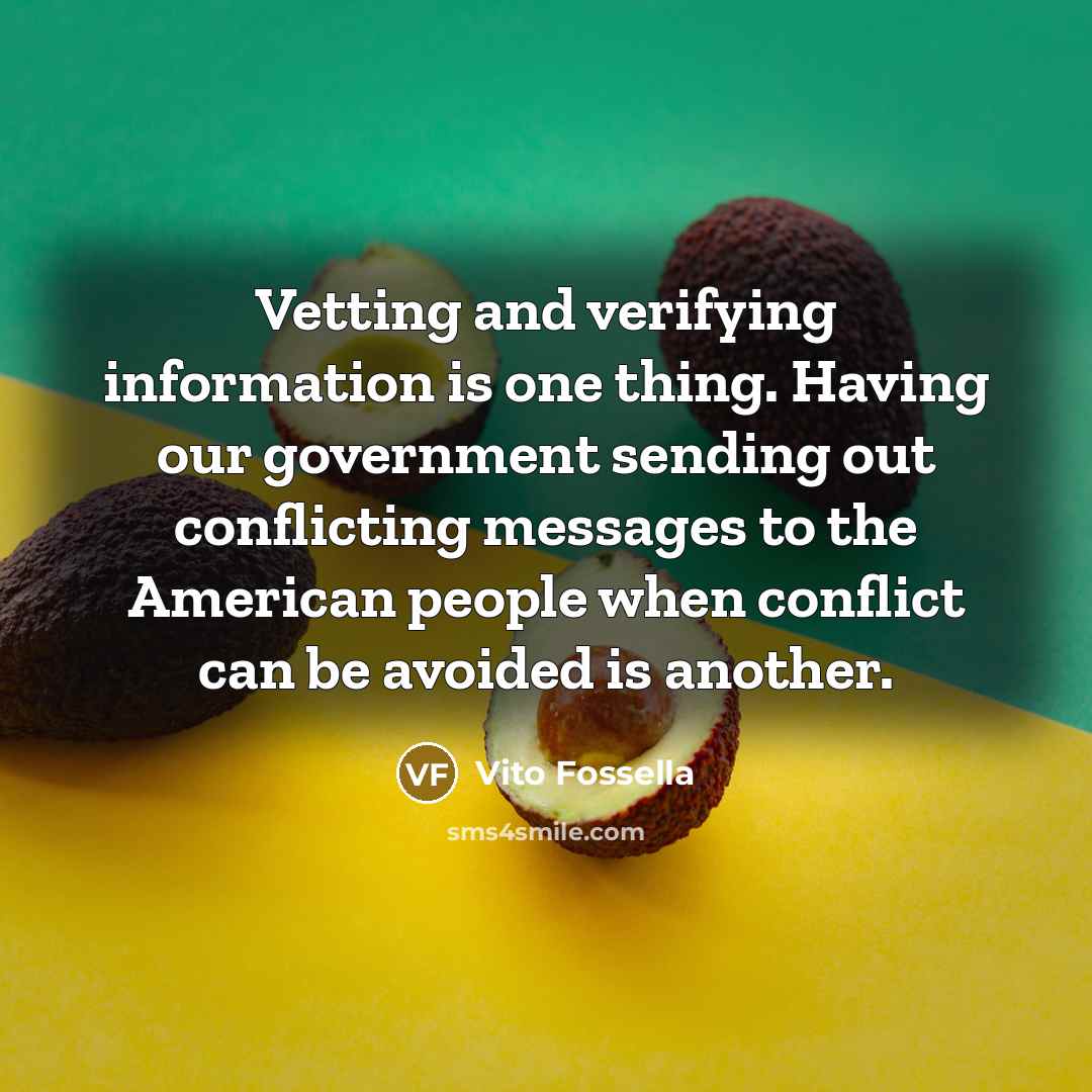 “Vetting and verifying information is one thing. Having our government…” quote by Vito Fossella