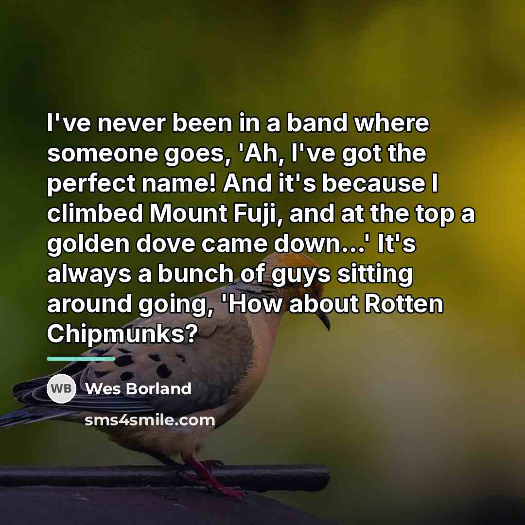 “I've never been in a band where someone goes, 'Ah,…” quote by Wes Borland
