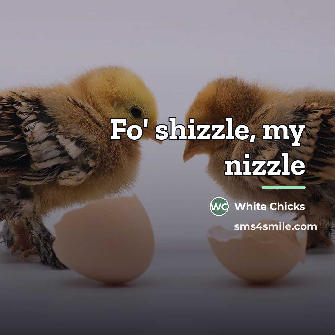“Fo' shizzle, my nizzle…” quote by White Chicks