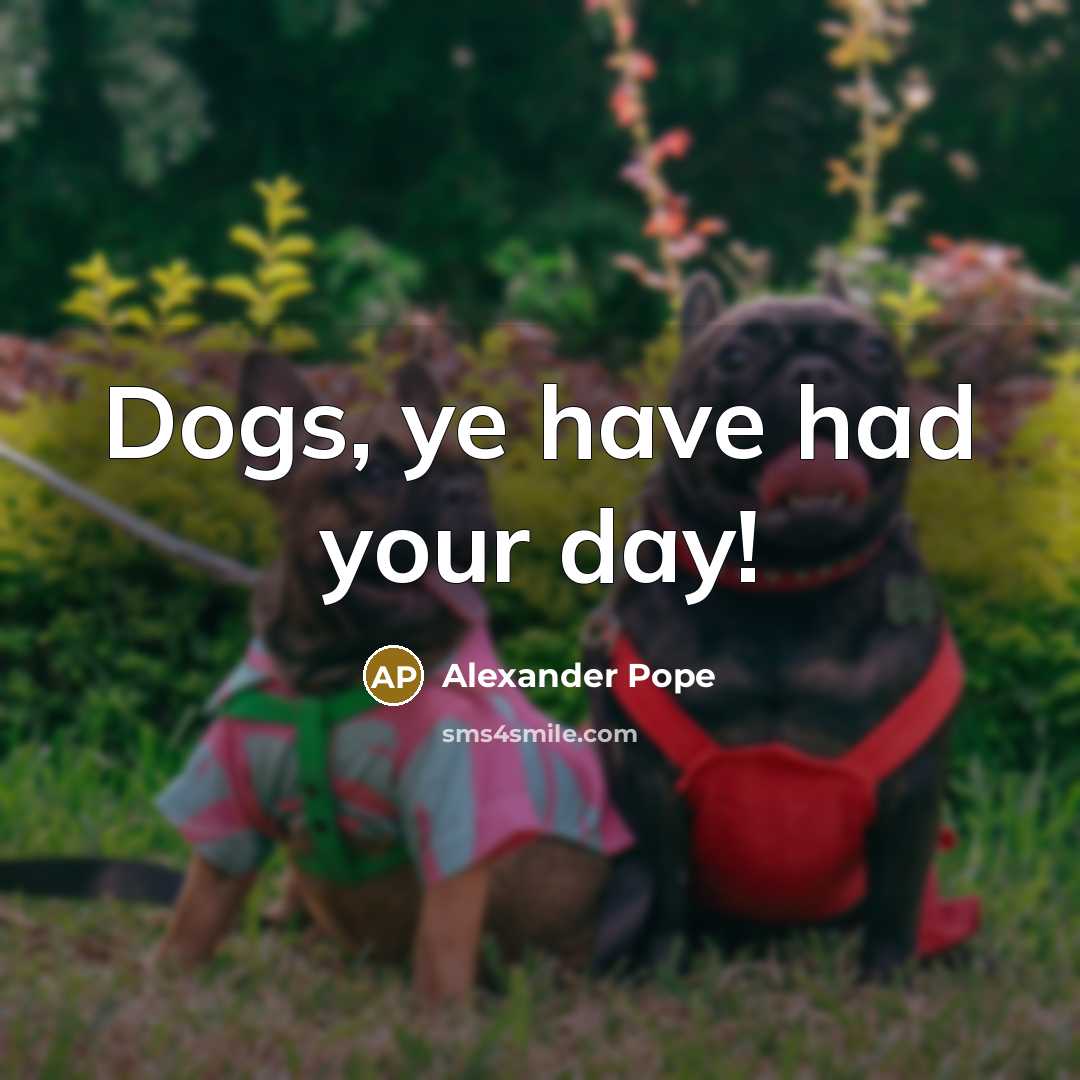 “Dogs, ye have had your day!…” quote by Alexander Pope