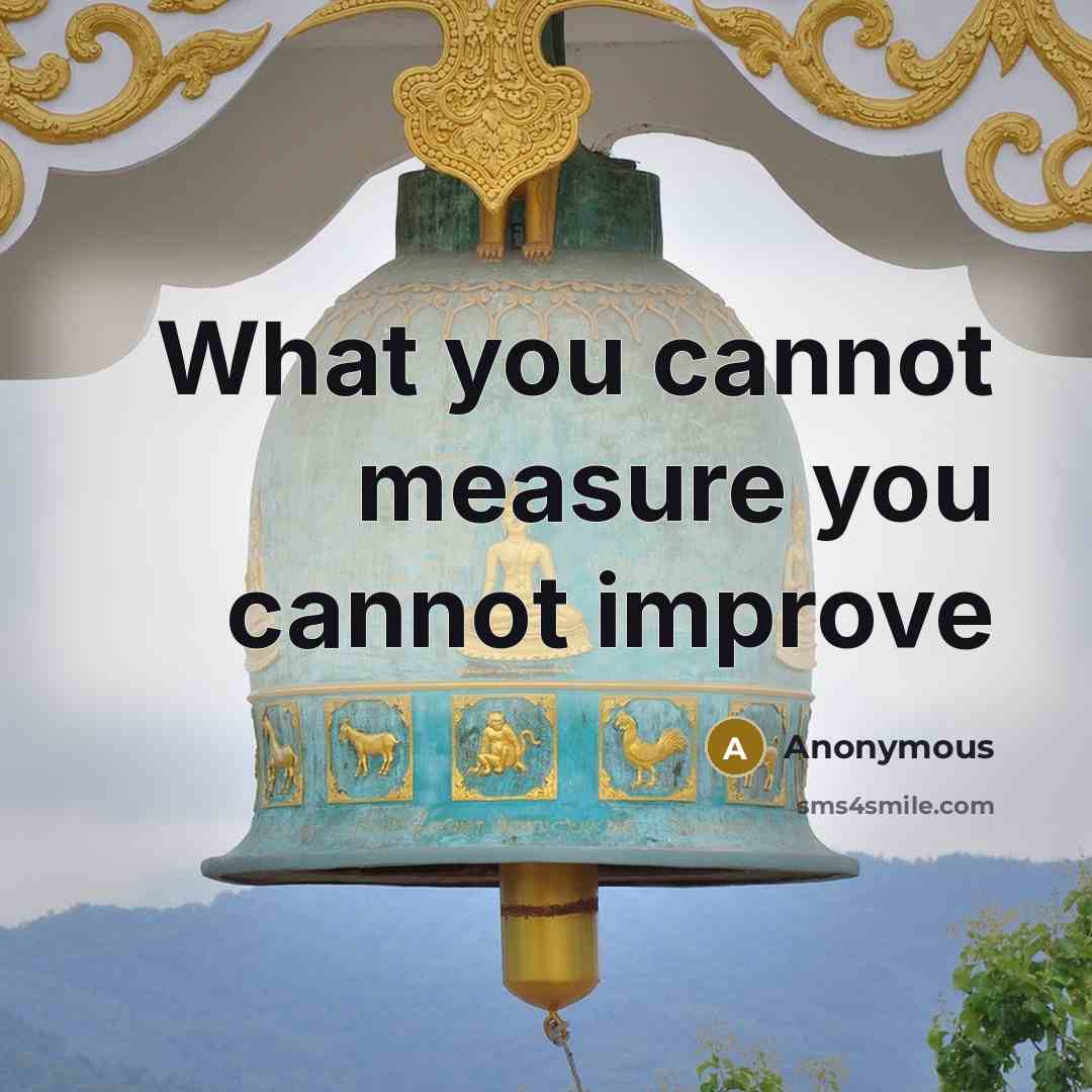“What you cannot measure you cannot improve” quote by Anonymous