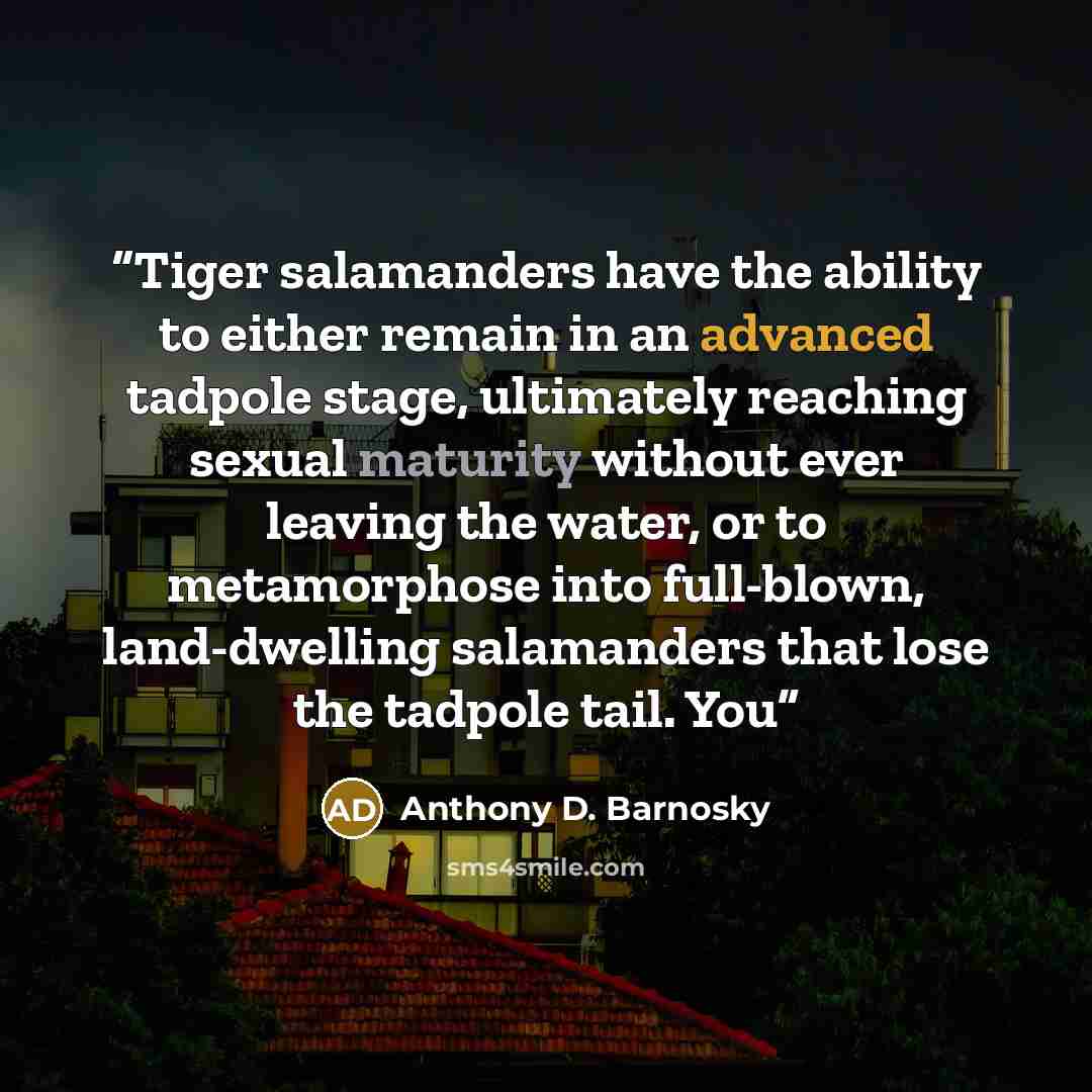 “Tiger salamanders have the ability to either remain in an advanced tadpole stage, ultimately reaching sexual maturity without ever leaving the water, or to metamorphose into full-blown, land-dwelling salamanders that lose the tadpole tail. You” quote by Anthony D. Barnosky