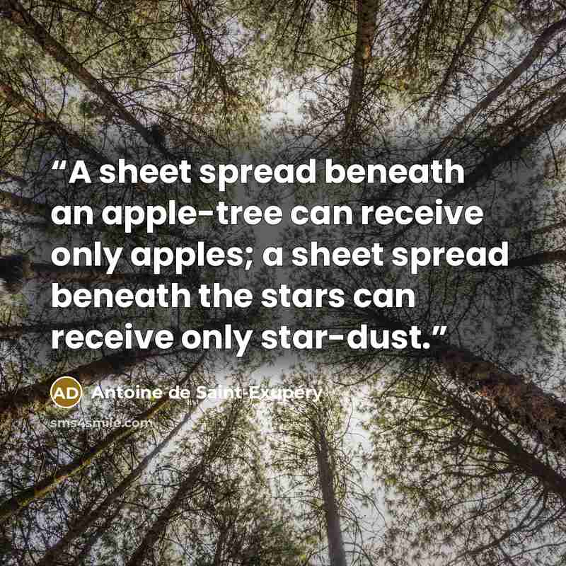 “A sheet spread beneath an apple-tree can receive only apples; a sheet spread beneath the stars can receive only star-dust.” quote by Antoine de Saint-Exupéry