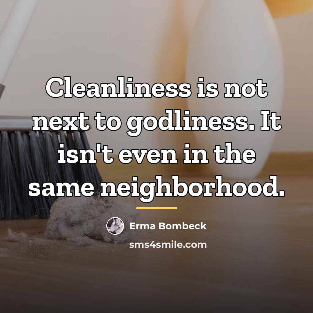 “Cleanliness is not next to godliness. It isn't even in…” quote by Erma Bombeck