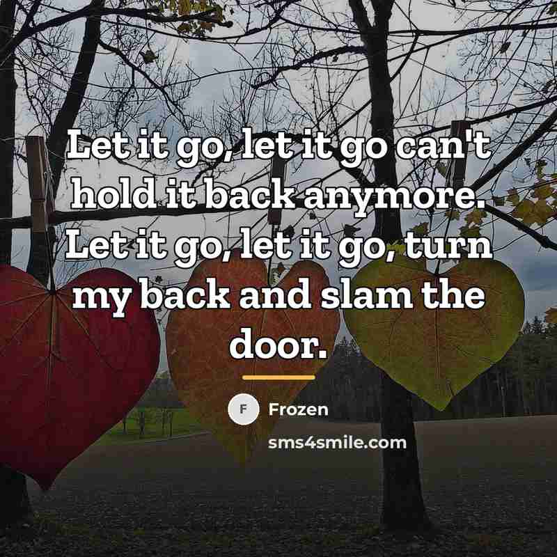 “Let it go, let it go can't hold it back…” quote by Frozen
